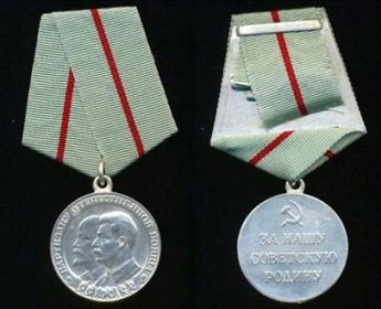 Награжден медалью  «Партизану Отечественной Войны»  II степени 27.12.1943 г.