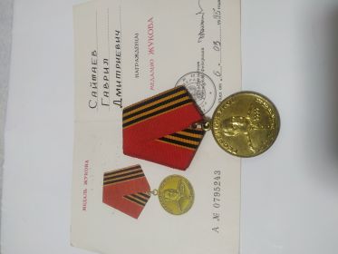 Медаль имени Жукова