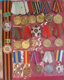 Орден Отечественной войны II, медаль За Оборону Одессы, медаль За Оборону Севастополя, медальЗа победу над Германией, юбилейные медали