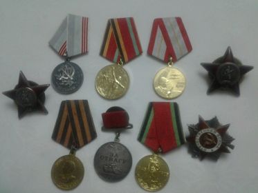 2 Ордена Красной Звезды,  Медаль за отвагу, Орден Отечественной войны 2- ой степени,
