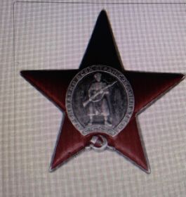 Орден Красной Звезды (фронтовой приказ номер 631 от 18.09.1943), Орден Красного Знамени