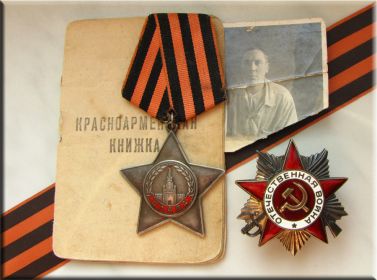 Орден Славы 3 степени,орден Отечественной войны 1 степени,медаль За победу над германией.