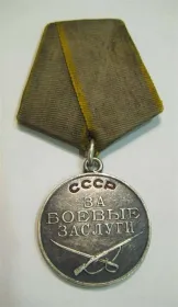 Медаль"За боевые заслуги"