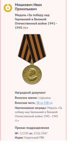 Медаль «За Победу над Германией в Великой Отечественной Войне 1941 1945 гг.»