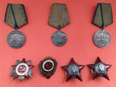 2 ордена Красной звезды, орден ВОВ 2 степени, 2 медали за Отвагу, За боевые заслуги, за Оборону Москвы, за освобождение Варшавы, за Победу над Германией