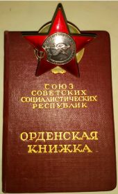 Медаль "За победу над Германией в Великой Отечественной войне1941-1945г.г."