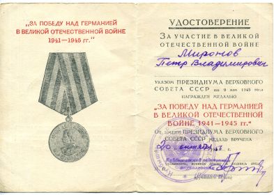 Медаль за победу над Германией в Великой Отечественной войне 1941—1945 гг.