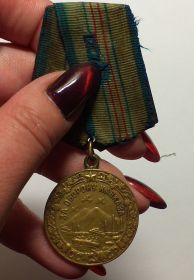 Орден «Красной Звезды», Орден «Великой Отечественной войны II степени», Медаль «За оборону Кавказа», Медаль «За Победу над Германией».