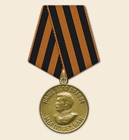 Медаль «За победу над Германией в Великой Отечественной войне 1941–1945 гг»
