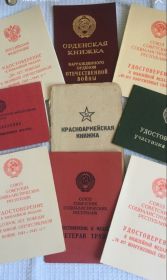 Награды: « За боевые заслуги», « За оборону Кавказа», «За оборону Сталинграда», «За победу над Германией…»,  «Орден Отечественной войны IIстепени.»