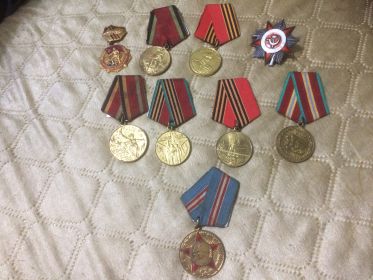 Орден Отечественной войны II степени, Медаль Жукова, Знак 25 лет Победы в Великой Отечественной войне, Юбилейные медали