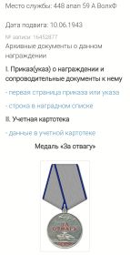 Медаль за Отвагу, кавалер Ордена Отечественной Войны 1 и 2 - й степени