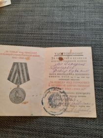 Медаль за победу над Германией в Великой Отечественной войне 1941-1945 гг.