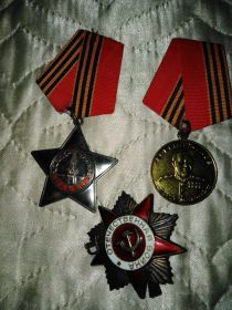 Орден Красной Звезды,Орден Славы 3 степени,медаль Жукова