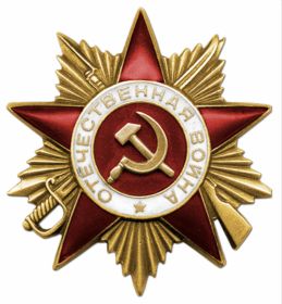 Орден «Отечественной войны I степени».