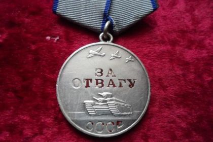 Награды Медаль «За отвагу» (2)