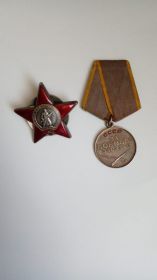 Орден Красной звезды, медаль за боевые заслуги