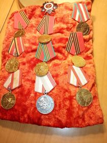 медаль за освобождение Ленинграда, медаль за Победу над Германией, орден Отечественной войны.