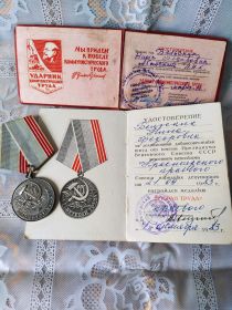 медаль “ветеран труда”- 1983г., “ударник коммунистического труда”-1970г.,