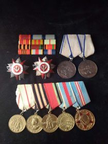 Два Ордена Отечественной войны 2 степени, две медали "За Отвагу", медали :"За оборону Сталинграда", " За освобождение Варшавы", " За победу над Германией".