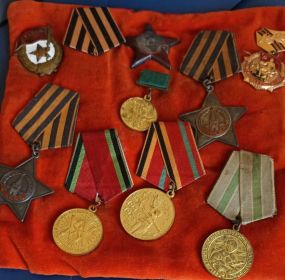 Ордена Славы 2 и 3 степени, Медаль за оборону Советского Заполярья, Медаль за Победу над Германией