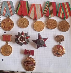 Орден отечественной войны 1-ой степени, Орден Красной Звезды №2223179