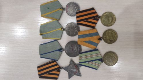 Орден славы 3степени, медаль за оборону Кавказа, медаль За Отвагу, медаль За Боевые Заслуги