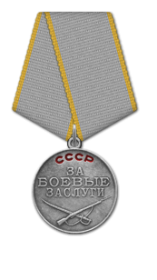 Награжден медалью «За боевые заслуги».