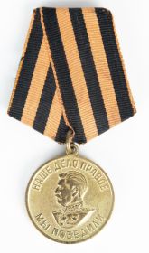 Медаль «За Победу над Германией в Великой Отечественной войне 1941 - 1945 гг.»