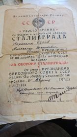 Медаль за освобождение Сталинграда, медаль Жукова