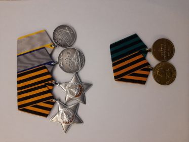 2 ордена Славы III степени, медали: "За отвагу", "За боевые заслуги", "За взятие Кенигсберга", "За победу над Германией".
