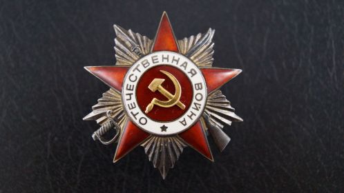 За боевые заслуги, За победу над Германией, Орден Отечественной войны II степени