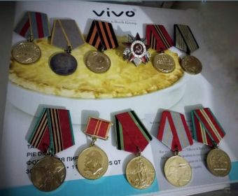 Медаль «За боевые заслуги»; (2)Медаль «За оборону Кавказа»; Орден Отечественной войны II степени