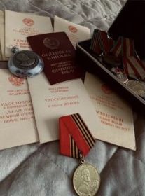 Орден Отечественной Войны 1 степени; Медаль Г.К Жукова; Медаль «За победу над Германией в Великой Отечественной Войне 1941-1945 ГГ»; Медаль «Двадцать лет победы в Великой Отечественной Воине