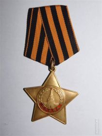Орден Славы 1- ой степени