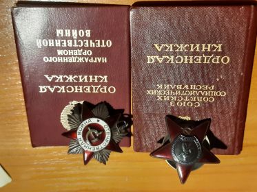 Медаль «За победу над Германией в Великой Отечественной войне 1941–1945 гг.»|Орден Красной Звезды|Орден Отечественной войны II степени