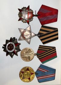 Орден Фронтовик 1941-1945, Орден Отечественной  Войны 1 степени.