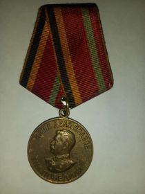 Медаль. Медаль «За победу над Германией в Великой Отечественной войне 1941—1945 гг.