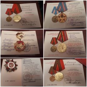 Орден Отечественной войны II степени, медаль Жукова, юбилейные медали