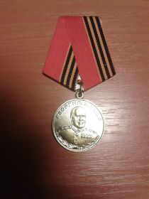 Орден Отечественной Войны II степени, медаль Георгия Жукова