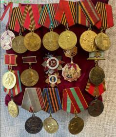 орден Отечественной войны II степени, медалями «За Победу над Германией», «За Победу», и «За взятие Берлина»