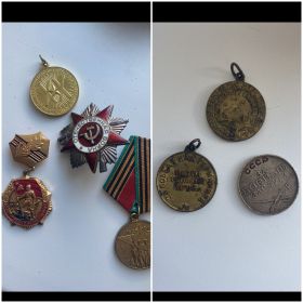 Медаль за боевые заслуги , за оборону Кавказа , за победу над Германией. Орден Великой Отечественной войны