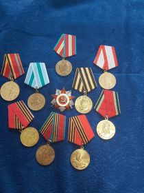 Орден Отечественной войны 2 степени, медаль "за оборону  Советского Заполярья"," за победу над Германией", "ветеран труда
