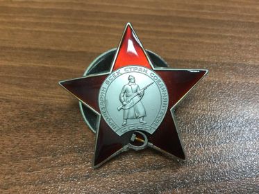Медаль за отвагу; Орден Красной звезды