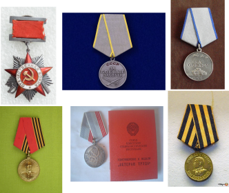 Орден Отечественной Войны II степени, медали, “За боевые заслуги”, “За отвагу”,“Медаль Жукова”, “Ветеран труда” ,“За победу над Германией”