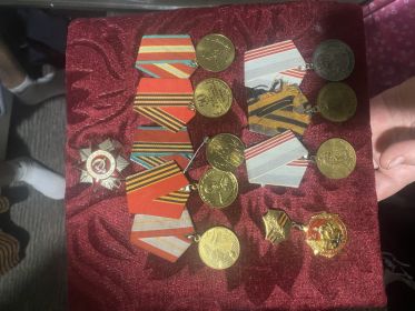 Орден мужества, медаль сталина, и еще несколько медалей, награжден посмертно