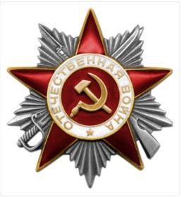 Медаль за "Победу над Германией", Орден Отечественной войны II степени