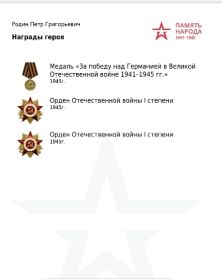 Медаль ,,За победу над Германией в ВВ 1941-1945г