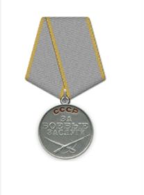 медаль «За боевые заслуги»; медаль «За победу над Германией в ВОВ 1941-1945 гг.»; медаль «За оборону Москвы»; медаль «За оборону Сталинграда»; орден Отечественной войны II степени