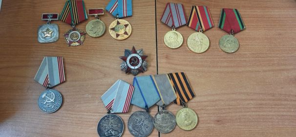 Орден отечественной войны, две медали за отвагу, медаль за боевые заслуги, медаль за победу над Германией, медали ветерана труда, медали годовшин победы над Германией.
